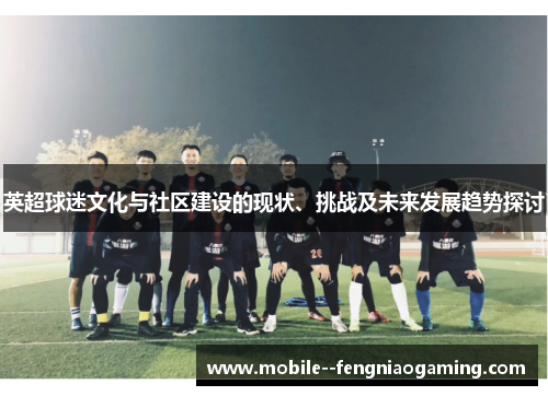 英超球迷文化与社区建设的现状、挑战及未来发展趋势探讨