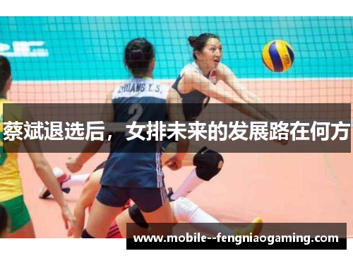 蔡斌退选后，女排未来的发展路在何方
