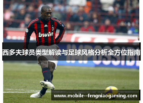 西多夫球员类型解读与足球风格分析全方位指南 西多夫球员类型解读与足球风格分析全方位指南