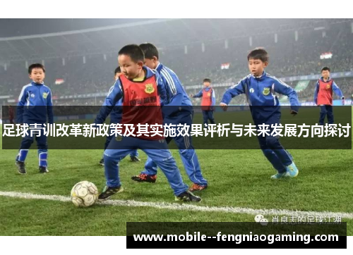 足球青训改革新政策及其实施效果评析与未来发展方向探讨