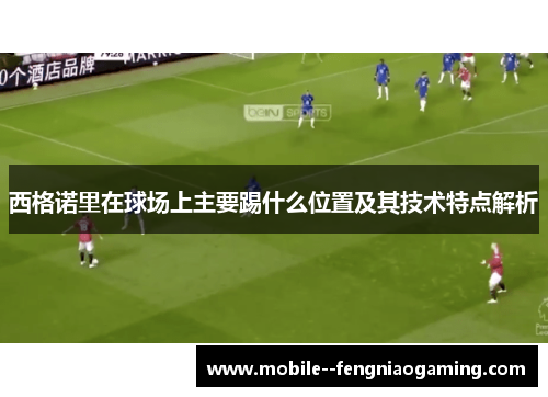 西格诺里在球场上主要踢什么位置及其技术特点解析