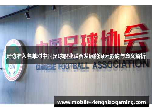足协准入名单对中国足球职业联赛发展的深远影响与意义解析