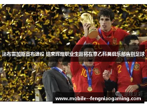 法布雷加斯宣布退役 结束辉煌职业生涯将在意乙科莫俱乐部告别足球