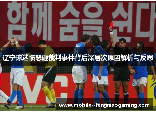 辽宁球迷愤怒砸裁判事件背后深层次原因解析与反思