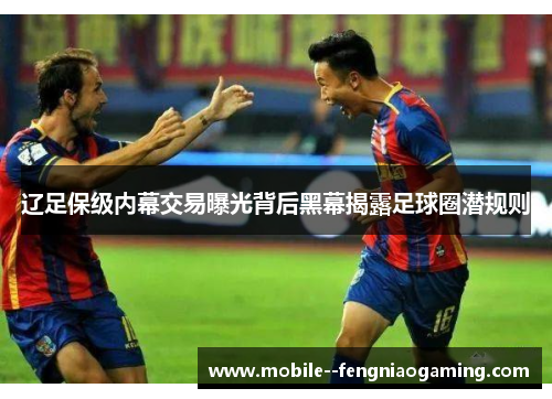 辽足保级内幕交易曝光背后黑幕揭露足球圈潜规则 辽足保级内幕交易曝光背后黑幕揭露足球圈潜规则