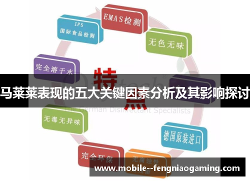马莱莱表现的五大关键因素分析及其影响探讨