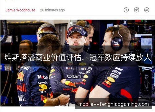 维斯塔潘商业价值评估,冠军效应持续放大 维斯塔潘商业价值评估,冠军效应持续放大